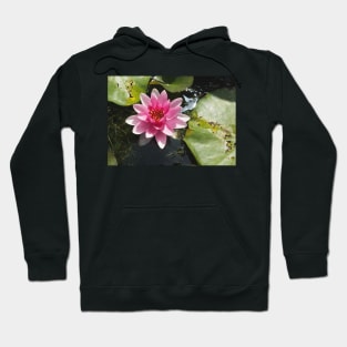 Pink water lily Hoodie